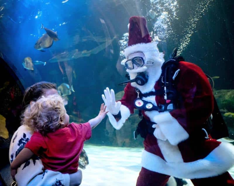 Child and adult interact with a diver dressed as Santa Claus in an aquarium, surrounded by fish and water.