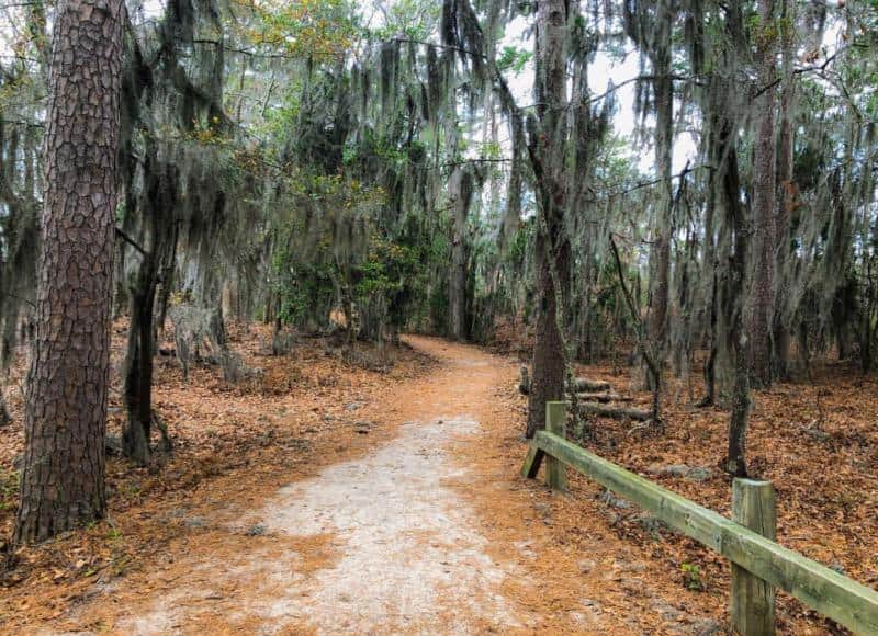 Dirt path winding through a forest with hanging moss, surrounded by trees and autumn leaves on the ground. Wooden fence on the right side of the path.