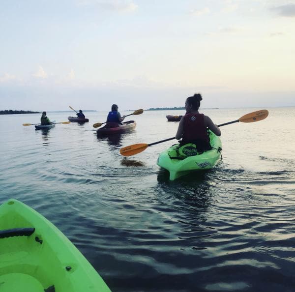 Five people kayaking on calm water near the shore during a cloudy sunset.