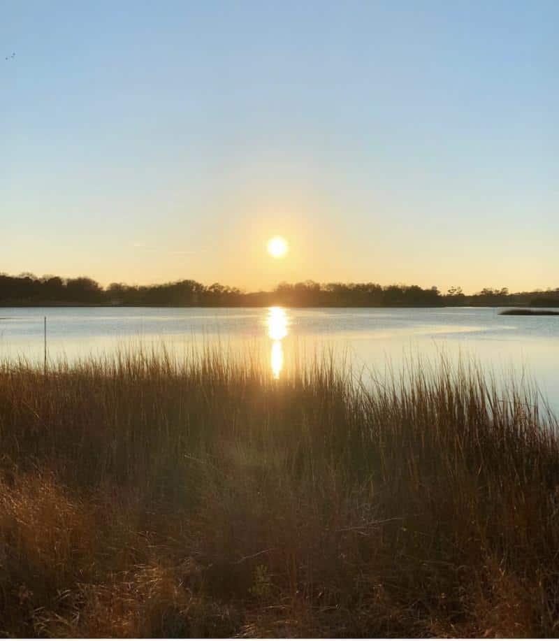 Sunrise over a still lake with tall grass in the foreground and a tree-lined horizon.