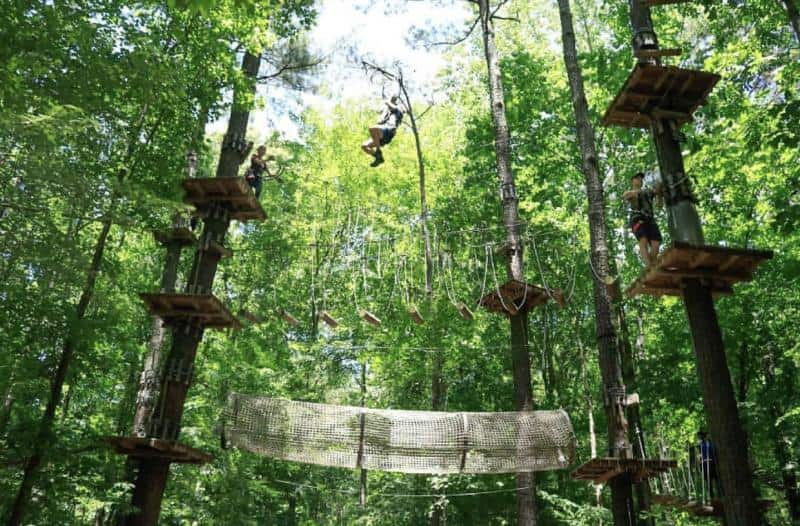 People navigating a high ropes course in a forest, using platforms, ropes, and nets among tall trees under a sunny sky.