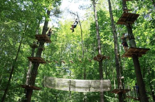 People navigating a treetop adventure course with platforms, rope bridges, and a net bridge amidst lush green trees.