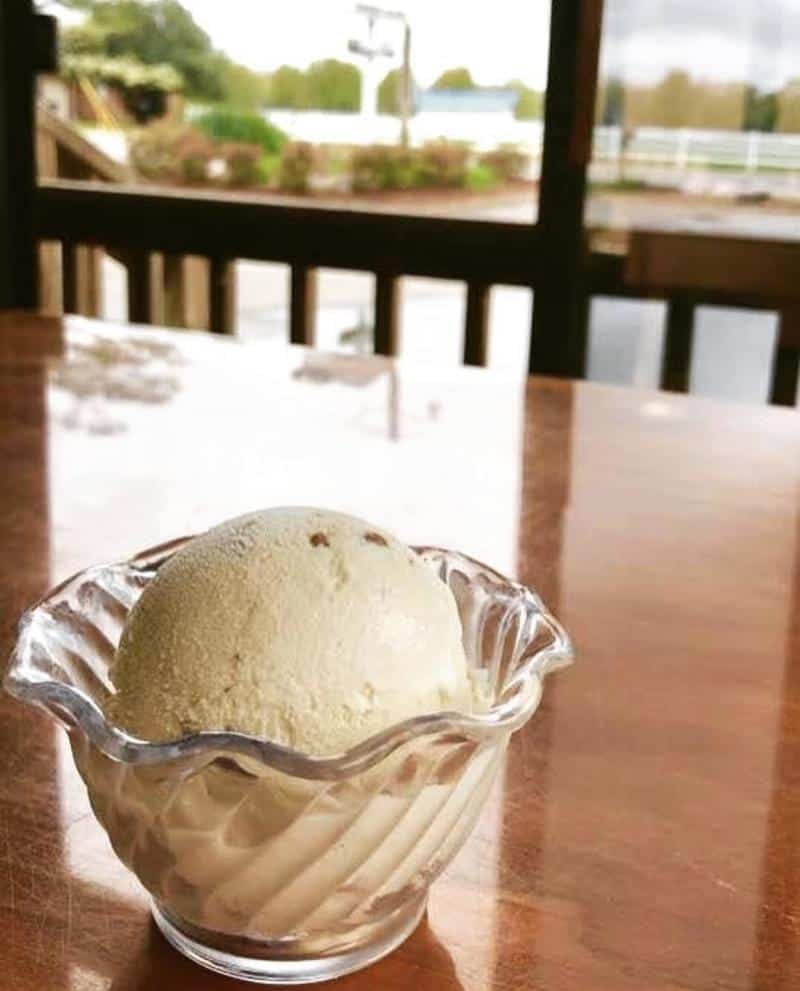 A scoop of vanilla ice cream in a glass dish sits on a wooden table. The background shows a blurred outdoor scene with greenery and a railing.
