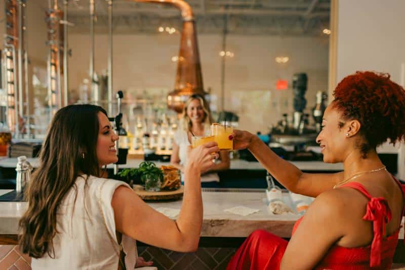 Two people at a bar toasting with drinks, smiling, with a bartender and distillery equipment in the background.