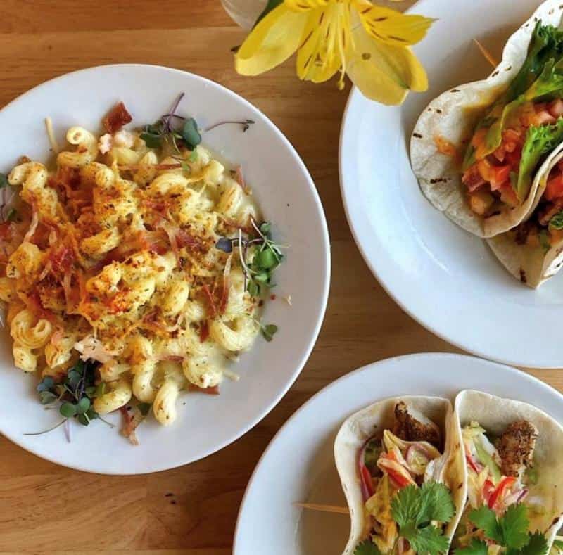 Three plates of food on a wooden table: macaroni and cheese with microgreens, a single taco with lettuce, and two tacos with cilantro and vegetables. A yellow flower is partially visible.