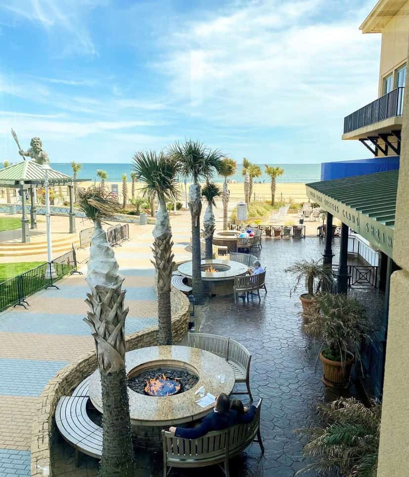 Outdoor patio with circular seating around fire pits, palm trees, and a view of the ocean in the background. A person reclines on one of the benches.