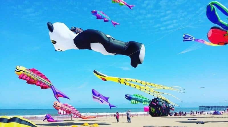 Kite festival on a beach with various colorful kites, including a panda and fish shapes, flying in the blue sky. People stand on the sandy shore of Virginia Beach.