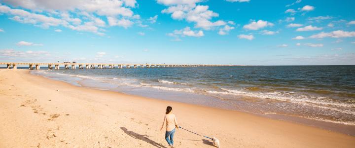 Person walking on a sandy beach pulling a wheeled cooler, with a long pier extending into the sea under a partly cloudy sky.
