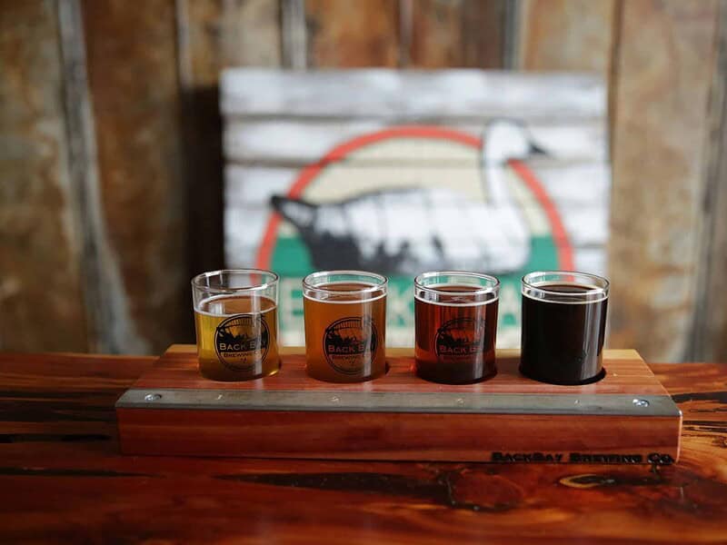 A wooden flight board holds four glasses of beer, varying in color from light to dark. A logo is visible on each glass, and a blurred background features a rustic sign with a goose illustration.