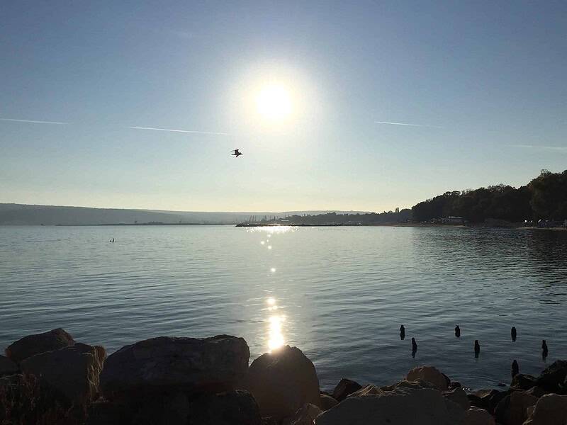 A tranquil lake scene at sunset, featuring shimmering water, a bright sun, and a silhouette of a bird in flight.
