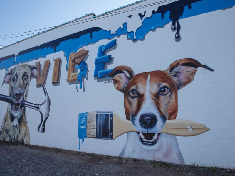 A colorful mural depicting two dogs, one holding a hammer and the other a paintbrush, against a vibrant background of paint drips located in the Vibe district.