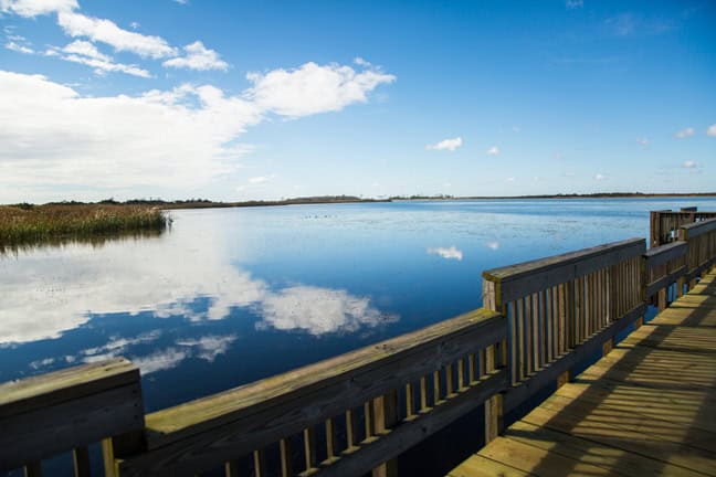 A tranquil lakeside view featuring a wooden boardwalk, reflecting blue sky and clouds over still water and surrounding vegetation.