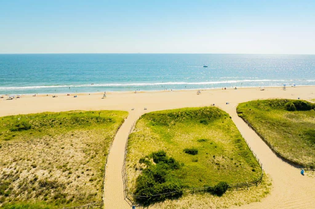 Aerial view of a sandy beach with green dunes, people sunbathing, and a calm ocean under a clear blue sky.