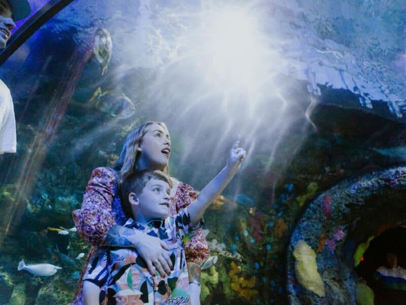 A woman and a boy point towards a light beam in an aquarium, surrounded by colorful fish and underwater scenery.