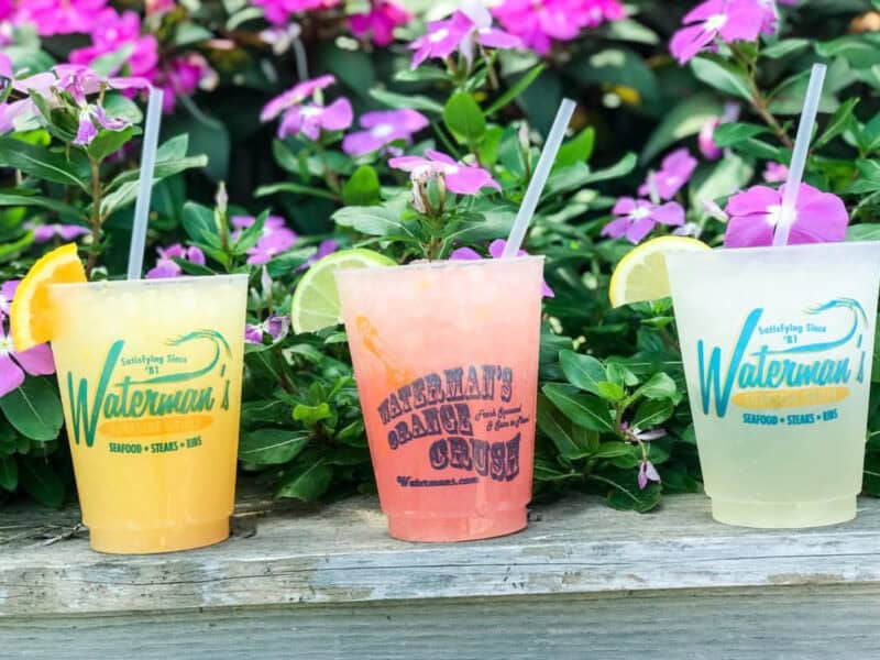 Three colorful drinks served in clear cups with branding from Waterman's, surrounded by vibrant pink flowers.