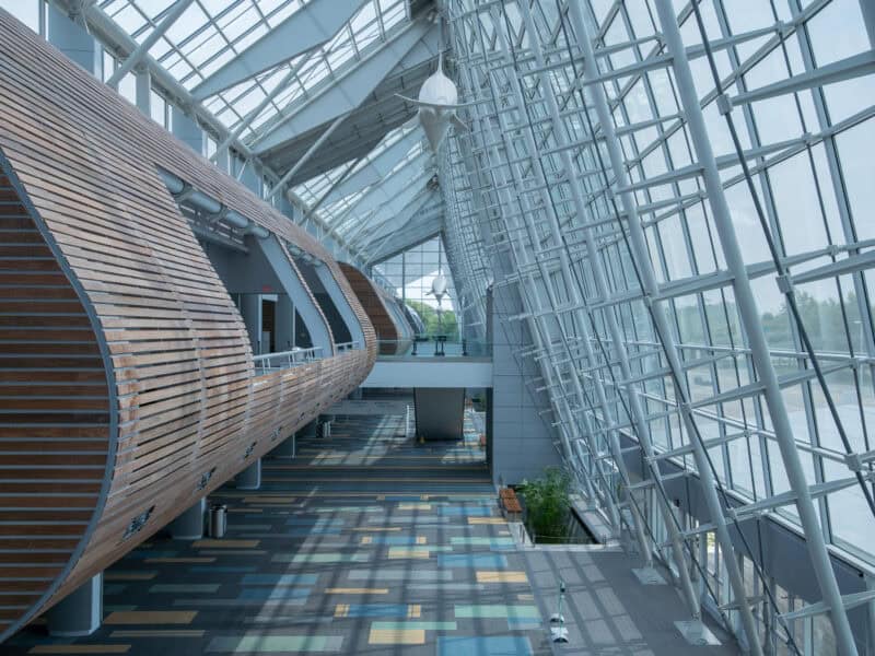 Modern architectural interior featuring a spacious, light-filled atrium with wooden elements and colorful flooring.