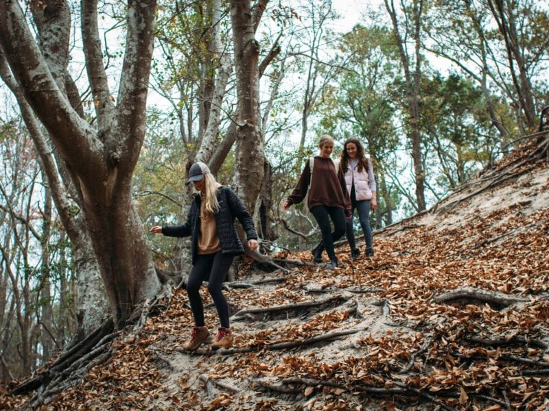 Three women navigate a leaf-covered slope in a forest, showcasing an autumn landscape with trees and earthy tones in First Landing State Park.