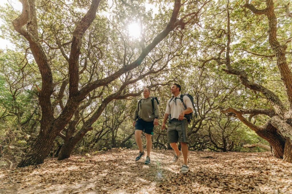 Two men hiking through a sunlit wooded trail, surrounded by green trees and fallen leaves.