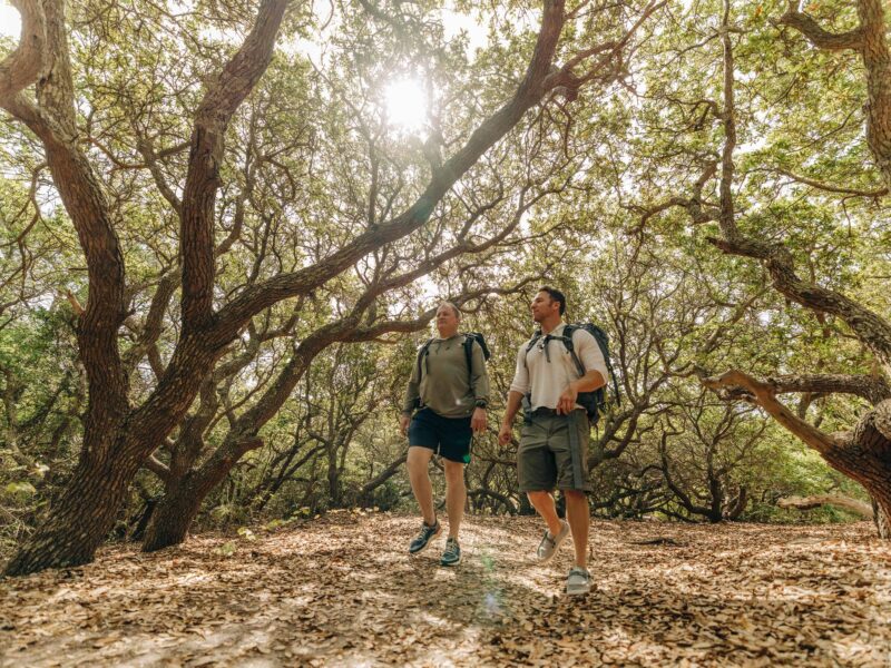 Two men hiking through a sunlit wooded trail, surrounded by green trees and fallen leaves.