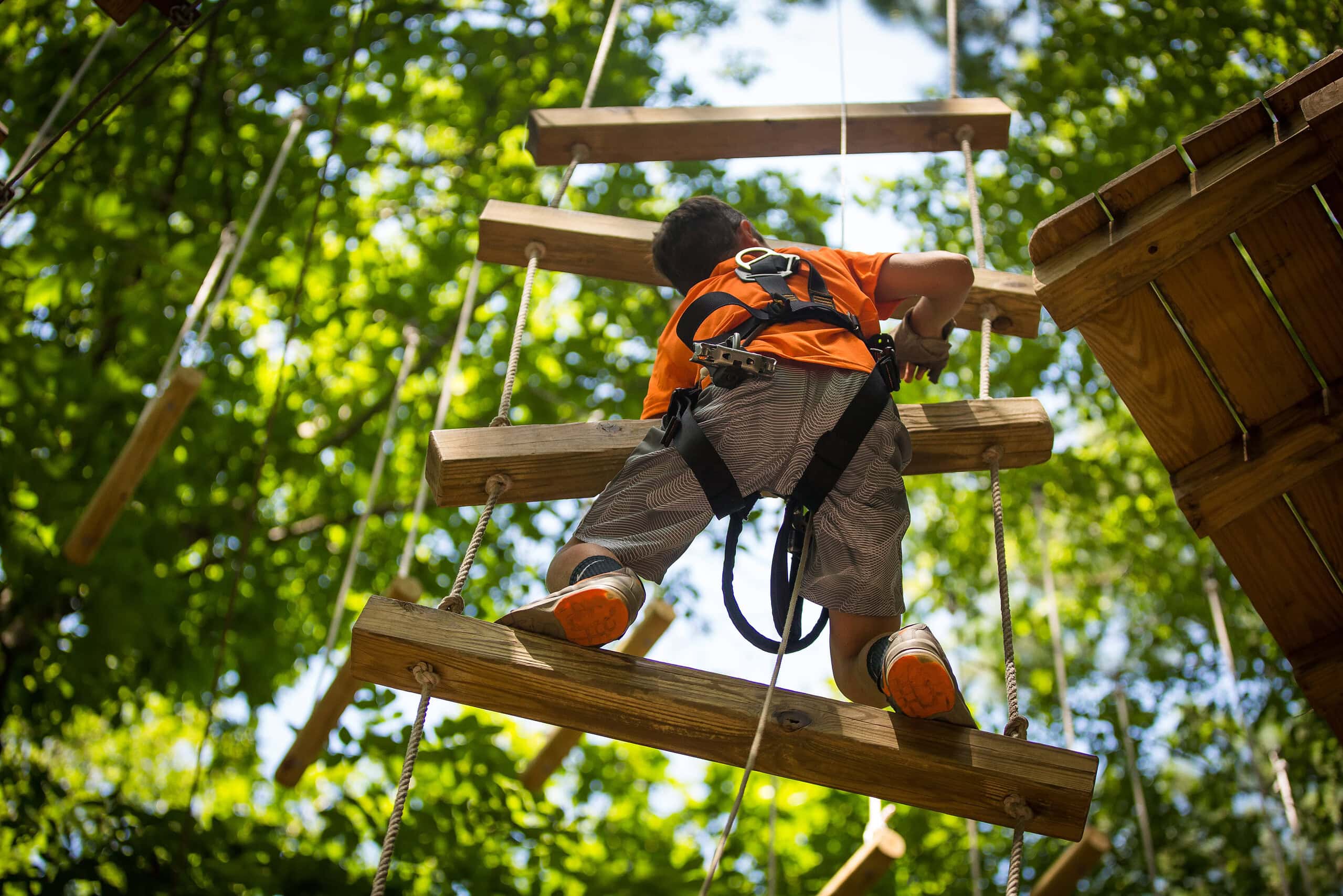 A child in an orange shirt climbs a wooden ladder in a treetop at Adventure Park, surrounded by green foliage on a sunny day in Virginia Beach.