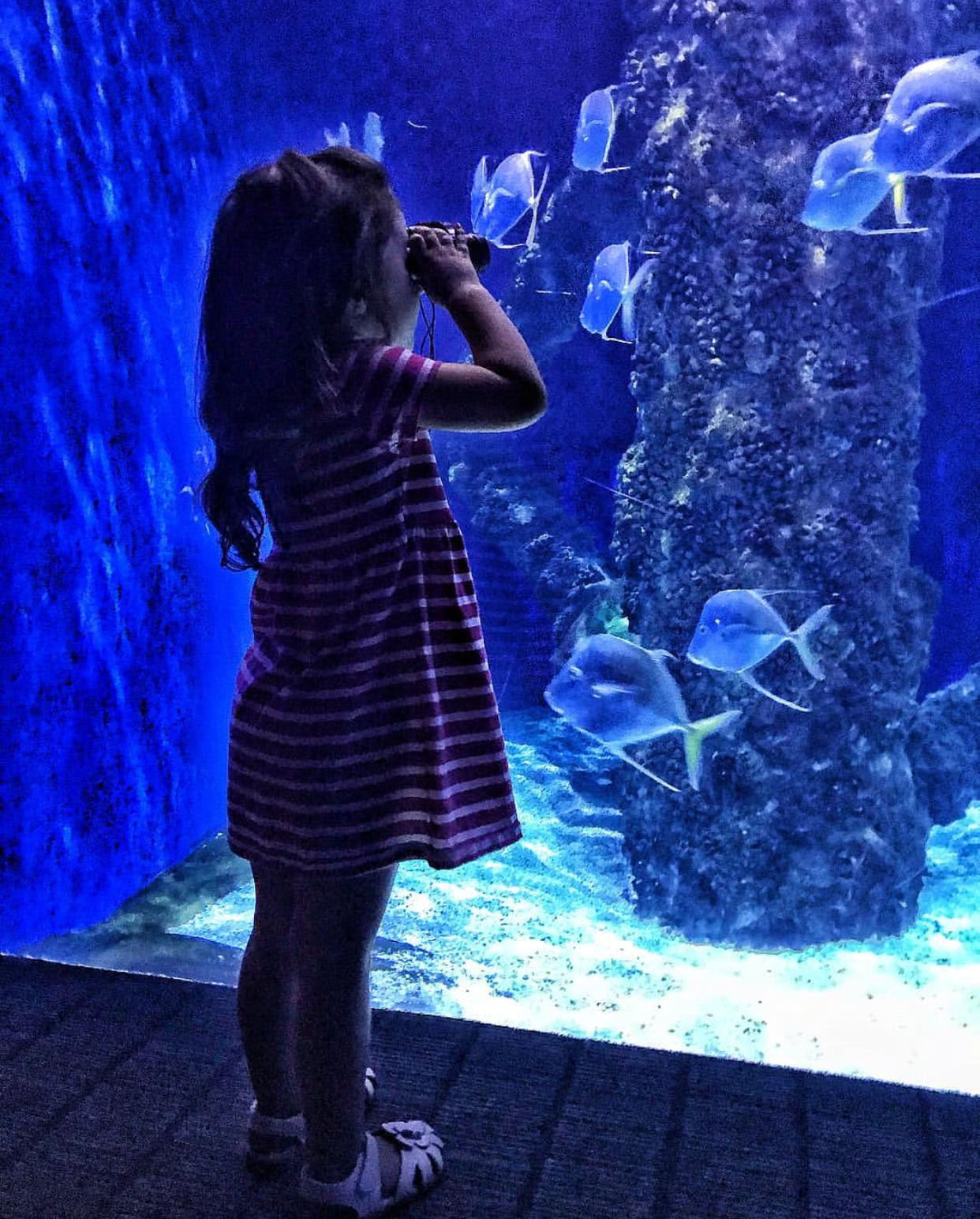 A young girl looks through binoculars at a vivid blue fish tank at the Virginia Beach Aquarium.